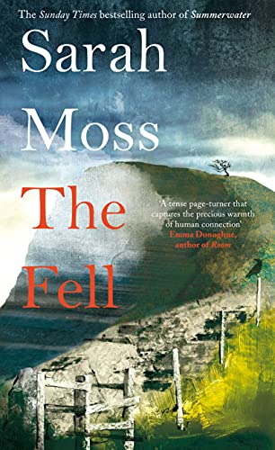 Beispielbild fr The Fell zum Verkauf von Arapiles Mountain Books - Mount of Alex