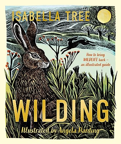 Imagen de archivo de Wilding: An Illustrated Guide To Letting Nature Back In a la venta por GreatBookPrices