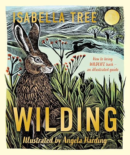 Stock image for Wilding: An Illustrated Guide To Letting Nature Back In for sale by GreatBookPrices