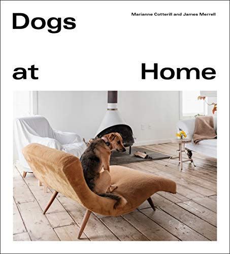 Beispielbild fr Dogs at Home zum Verkauf von WorldofBooks