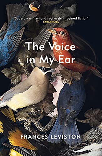 Stock image for The Voice in My Ear for sale by Blackwell's