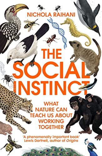 Stock image for The Social Instinct for sale by ThriftBooks-Dallas