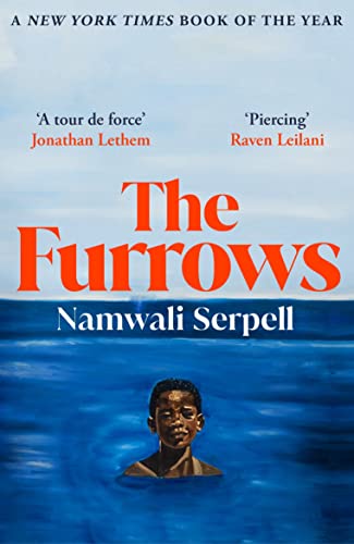 9781529115550: The Furrows: From the Prize-winning author of The Old Drift