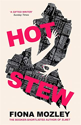 Imagen de archivo de Hot Stew: the new novel from the Booker-shortlisted author of Elmet a la venta por WorldofBooks