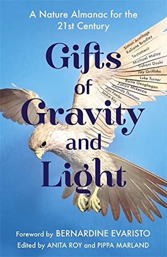 Beispielbild fr Gifts of Gravity and Light zum Verkauf von AwesomeBooks