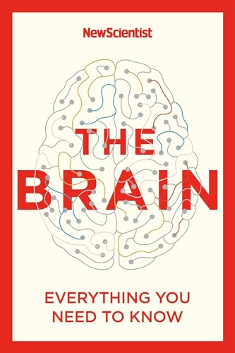 Imagen de archivo de The Brain: Everything You Need to Know a la venta por SecondSale