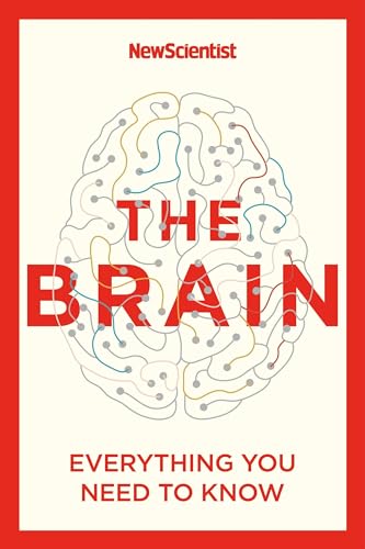 Stock image for The Brain: Everything You Need to Know for sale by SecondSale