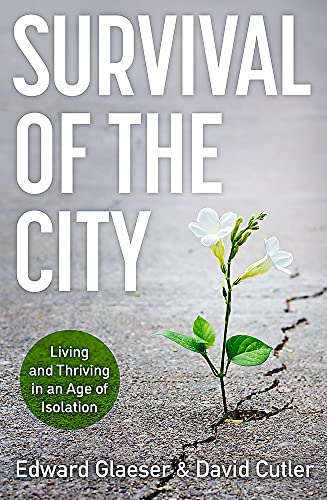 Stock image for SURVIVAL OF THE CITY for sale by Brook Bookstore
