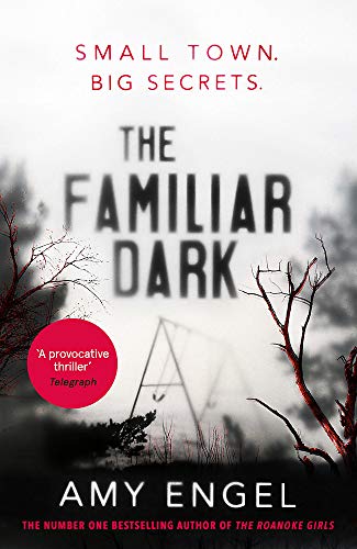 Beispielbild fr The Familiar Dark: The must-read, utterly gripping thriller you won't be able to put down zum Verkauf von WorldofBooks