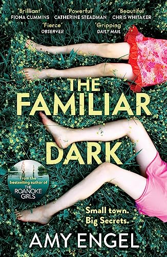 9781529368116: The Familiar Dark: The must-read, utterly gripping thriller you won't be able to put down