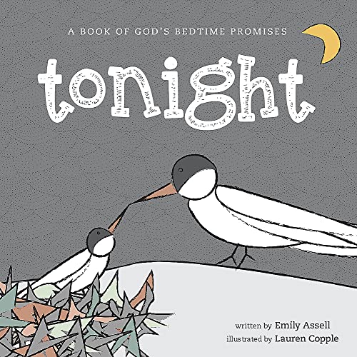 9781529377569: Tonight: A Book of God's Bedtime Promises (Hodder Faith Young Explorers)