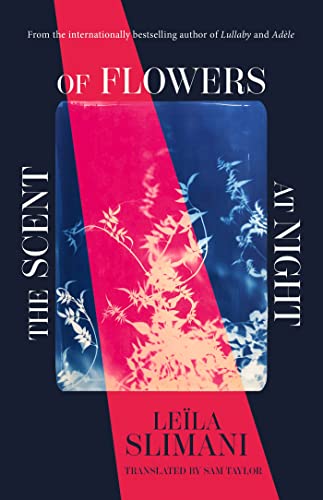 9781529399653: The Scent of Flowers at Night: a stunning new work of non-fiction from the bestselling author of Lullaby