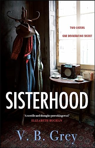 Stock image for Sisterhood: A heartbreaking mystery of family secrets and lies for sale by WorldofBooks