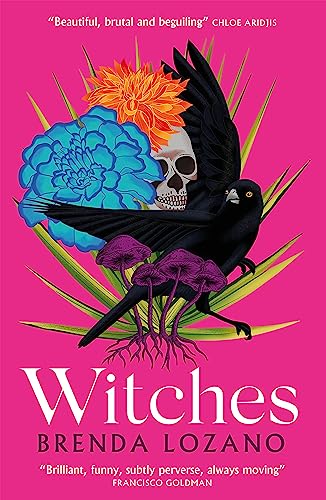 Imagen de archivo de Witches a la venta por WorldofBooks