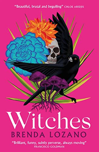 Stock image for Witches for sale by WorldofBooks
