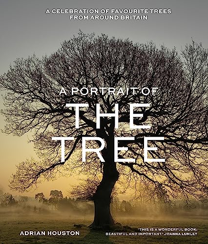 Stock image for A Portrait of the Tree: A celebration of favourite trees from around Britain for sale by PlumCircle