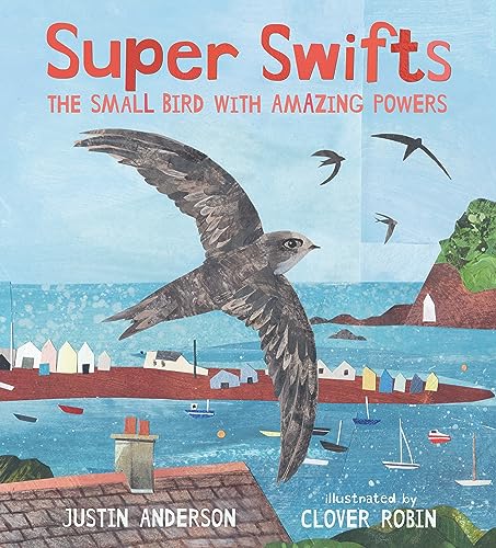 Beispielbild fr Super Swifts: The Small Bird With Amazing Powers (Nature Storybooks) zum Verkauf von WorldofBooks