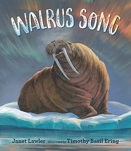 9781529504828: Walrus Song: 1