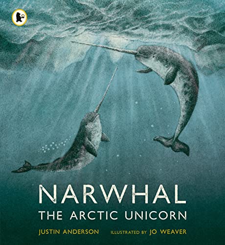 9781529513912: Narwhal: The Arctic Unicorn (Nature Storybooks)
