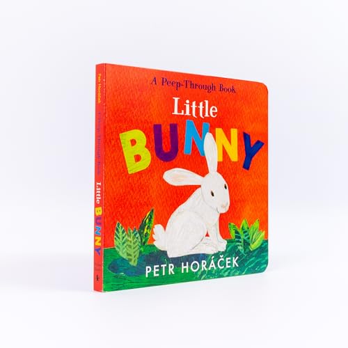 Beispielbild fr Little Bunny zum Verkauf von THE SAINT BOOKSTORE