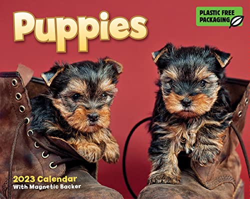 Beispielbild fr 2023 Puppies Mini Box Calendar zum Verkauf von GF Books, Inc.