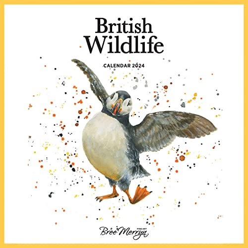 Beispielbild fr Bree Merryn British Wildlife 2024 Calendar zum Verkauf von WorldofBooks