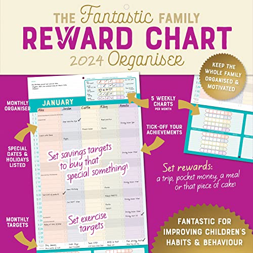 Beispielbild fr Fantastic Family Reward Chart Organizer zum Verkauf von WorldofBooks