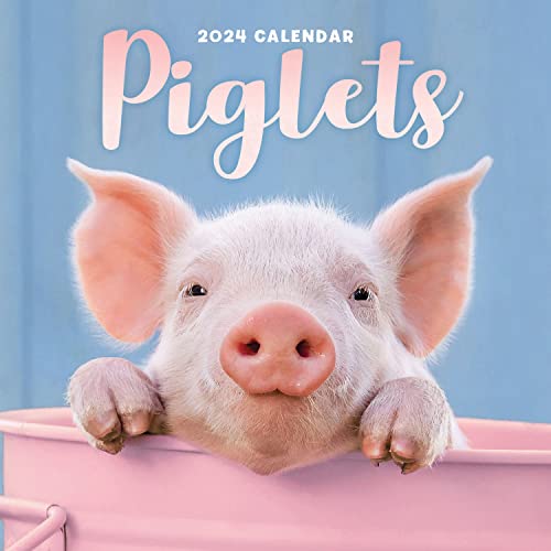 Beispielbild fr 2024 Piglets Mini Wall Calendar zum Verkauf von Book Deals