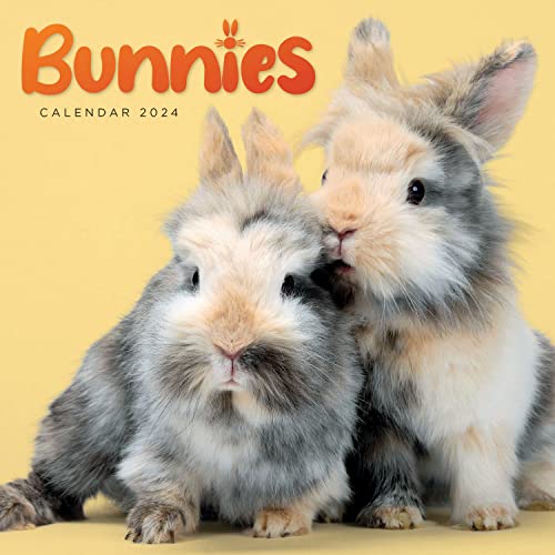 Beispielbild fr 2024 Bunnies Mini Wall Calendar [No Binding ] zum Verkauf von booksXpress