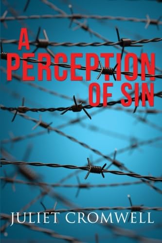 Imagen de archivo de A Perception of Sin a la venta por WorldofBooks