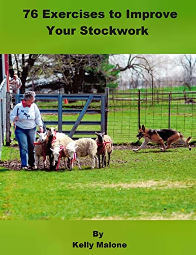 Stock image for 76 Exercises to Improve Your Stockwork for sale by SecondSale