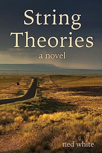 9781530138159: String Theories