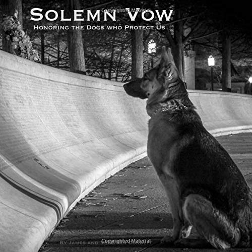 Stock image for Solemn Vow for sale by SecondSale