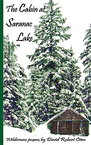 Stock image for The Cabin at Saranac Lake: Wilderness Poems for sale by Lucky's Textbooks