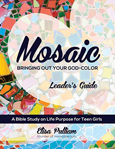 Stock image for Mosaic Leader's Guide: Bringing Out Your God-Color for sale by THE SAINT BOOKSTORE