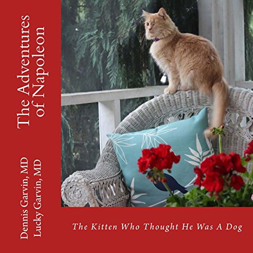 Beispielbild fr The Adventures of Napoleon: The Kitten Who Thought He Was A Dog zum Verkauf von ALLBOOKS1