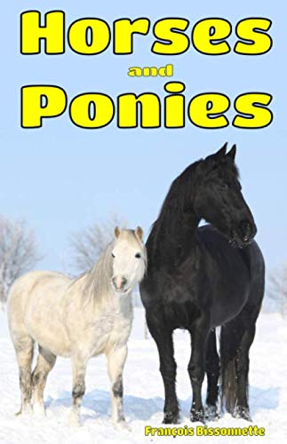 Beispielbild fr Horses and Ponies: Facts, Information and Beautiful Pictures about Horses and Ponies: Volume 3 (Animal Books for Children) zum Verkauf von WorldofBooks