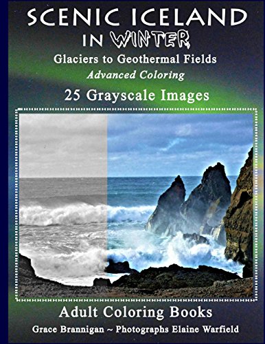 Beispielbild fr Scenic Iceland in Winter: Glaciers to Geothermal Fields: Advanced Coloring 25 Grayscale Images zum Verkauf von ThriftBooks-Dallas