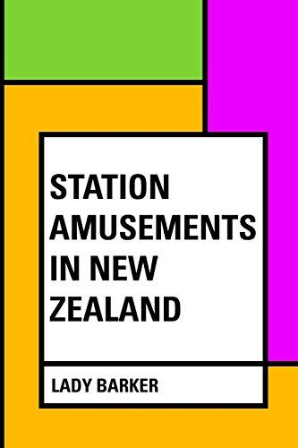 Imagen de archivo de Station Amusements in New Zealand a la venta por Revaluation Books