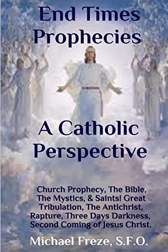 Stock image for End Times Prophecies A Catholic Perspective: Church Prophecy, The Bible, The Mystics, & Saints for sale by SecondSale