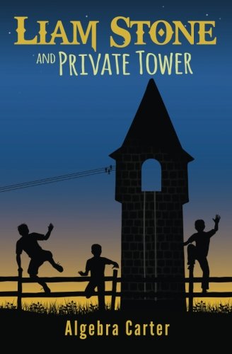 Imagen de archivo de Liam Stone And Private Tower a la venta por Better World Books