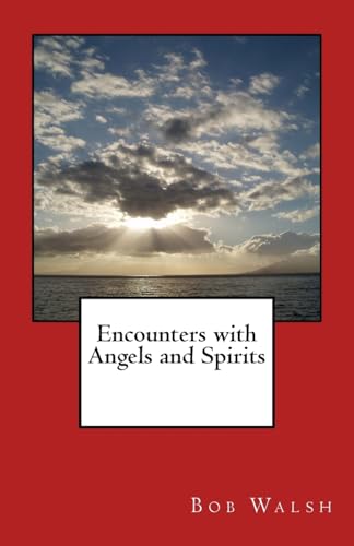 Imagen de archivo de Encounters with Angels and Spirits a la venta por Lucky's Textbooks