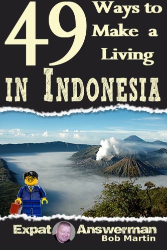 Beispielbild fr 49 Ways to Make a Living in Indonesia zum Verkauf von Revaluation Books