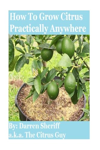 

How to Grow Citrus Practically Anywhere