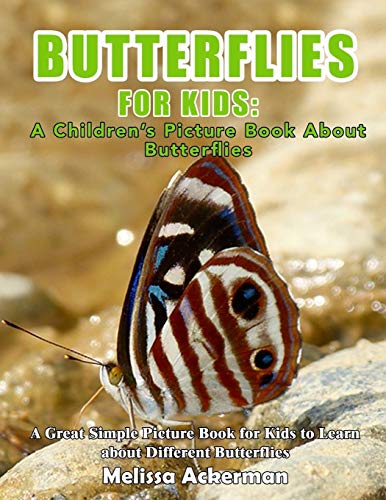 Stock image for Butterflies For Kids: A Children's Picture Book About Butterflies: A Great Simple Picture Book for Kids to Learn about Different Butterflies for sale by Your Online Bookstore