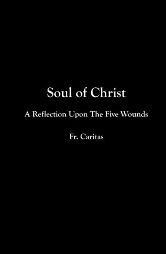 Imagen de archivo de Soul Of Christ: A Reflection Upon The Five Wounds a la venta por Revaluation Books