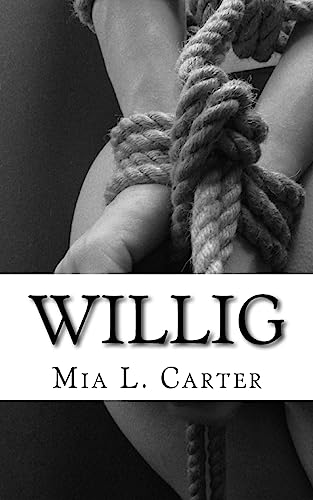 Stock image for Willig: Der Fremde, der mich unterwarf for sale by THE SAINT BOOKSTORE