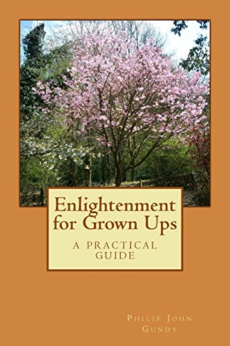 Beispielbild fr Enlightenment for Grown Ups: A Practical Guide zum Verkauf von THE SAINT BOOKSTORE
