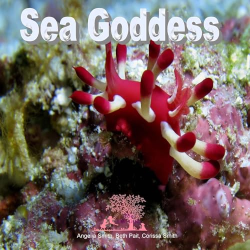 9781530876082: Sea Goddess