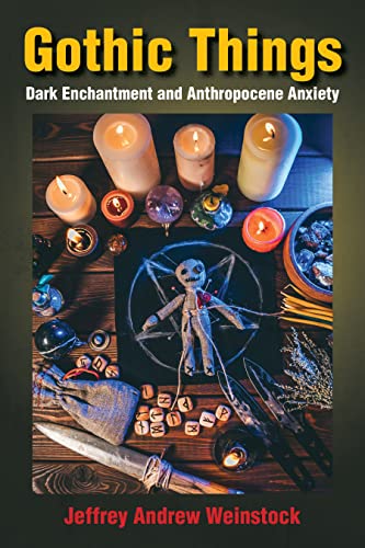 Stock image for Gothic Things: Dark Enchantment and Anthropocene Anxiety for sale by Red's Corner LLC